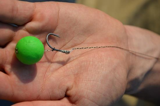 Un carlig excelent pentru Dunare!